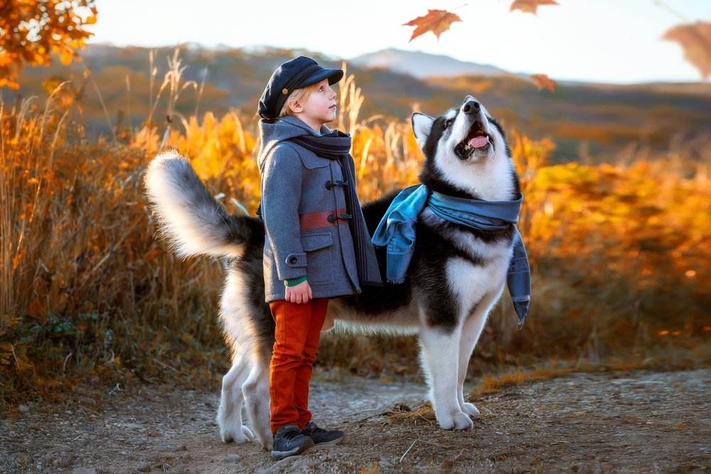 Photograph by Julia Moiseenko