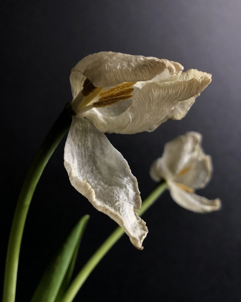 Photograph by Юлия Отставнова