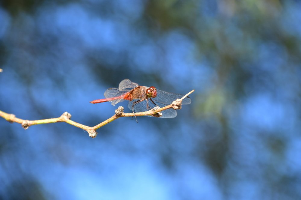 Photograph by Gulnaz Sabirova