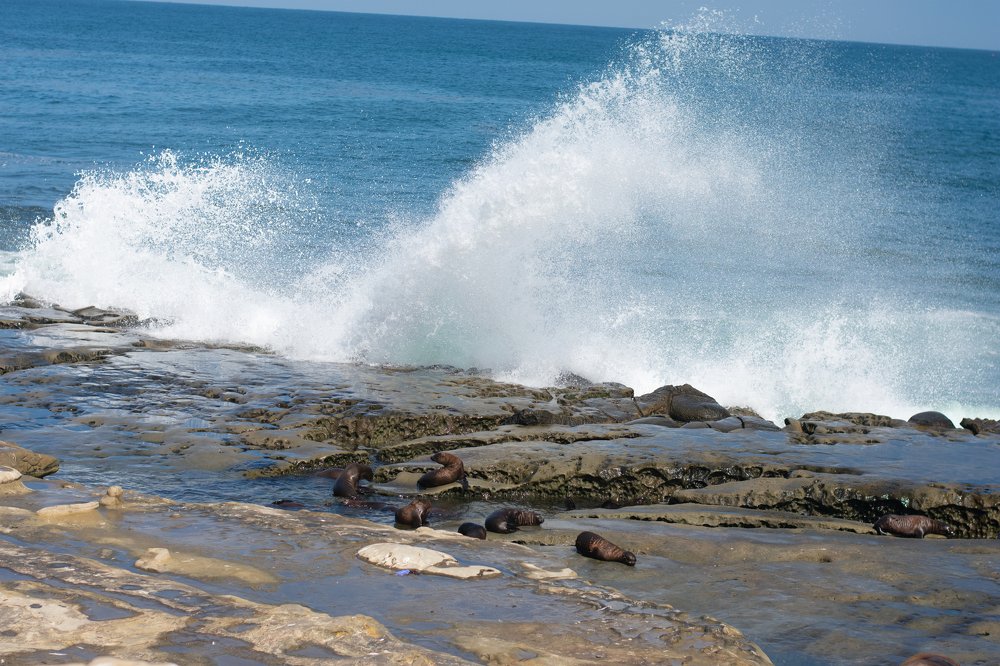 Photograph by Gulnaz Sabirova