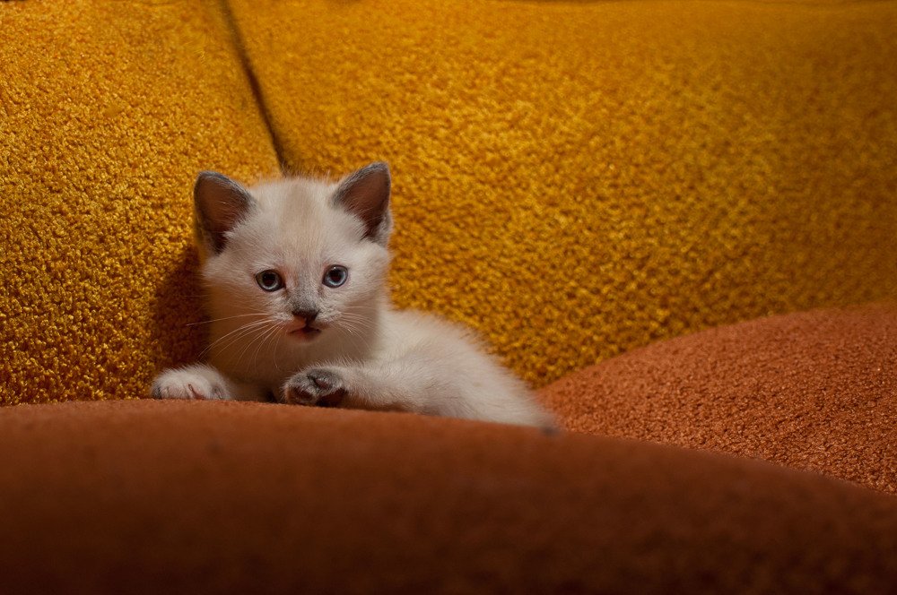 Photograph by Илья Кондрахин