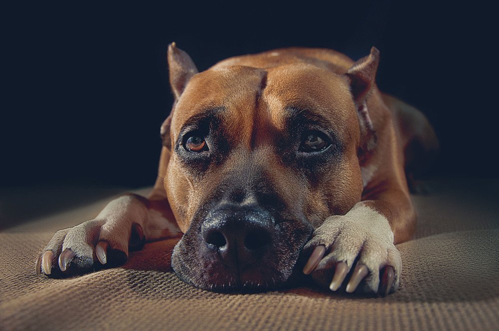 Photograph by Илья Кондрахин