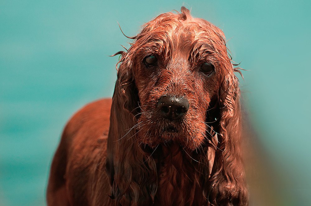 Photograph by Илья Кондрахин