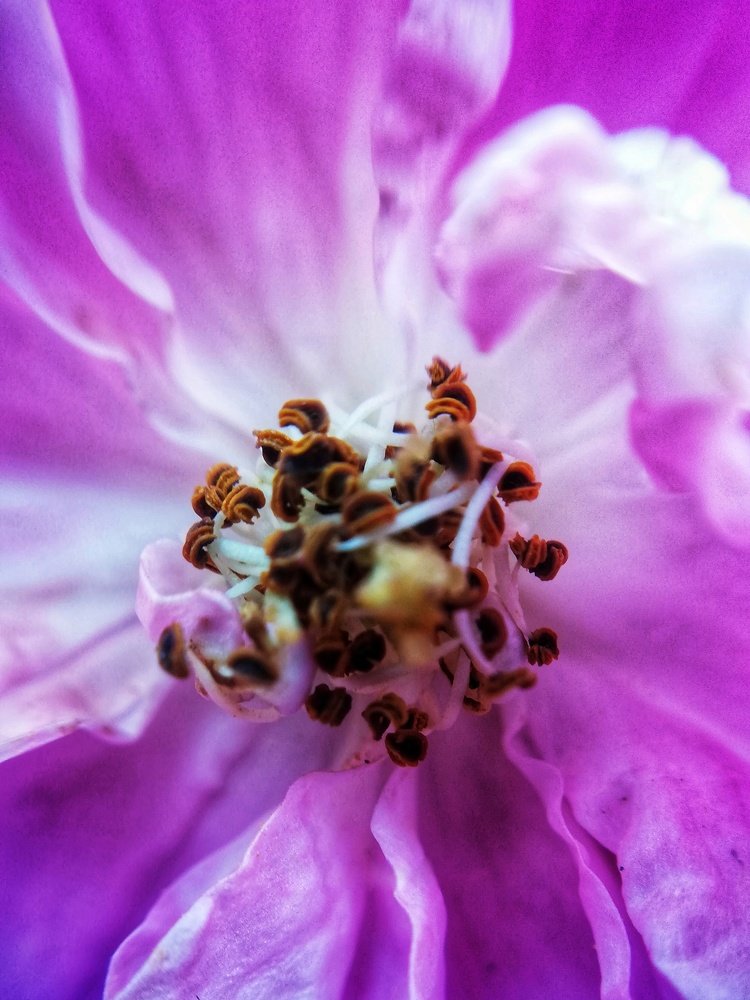 Photograph by Genesis Vivas