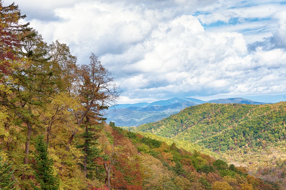 Photograph by Игорь Ковалёв