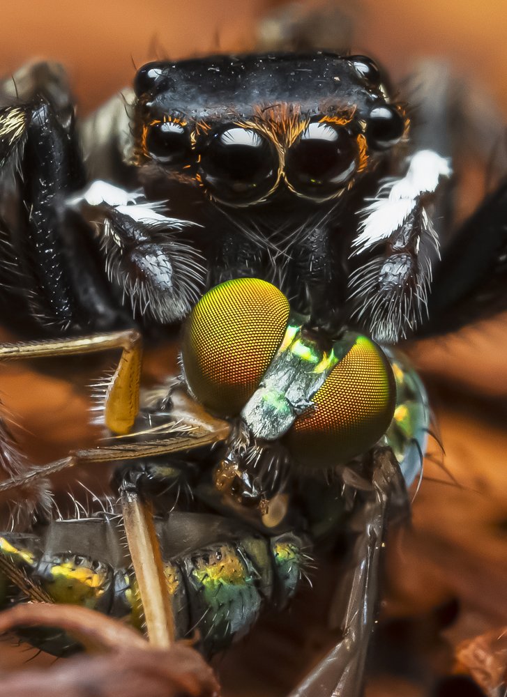 Photograph by Catherine Chong