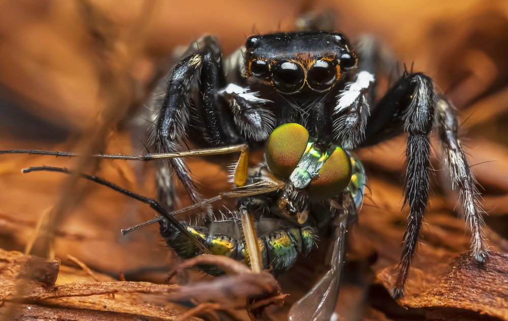 Photograph by Catherine Chong