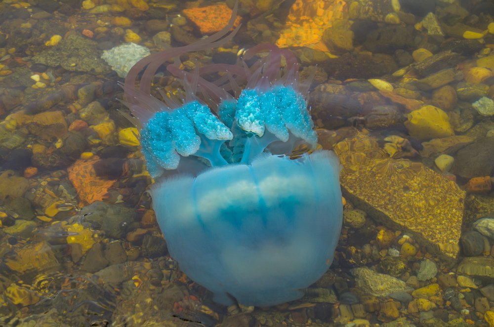 Photograph by Равиль Исмаилов