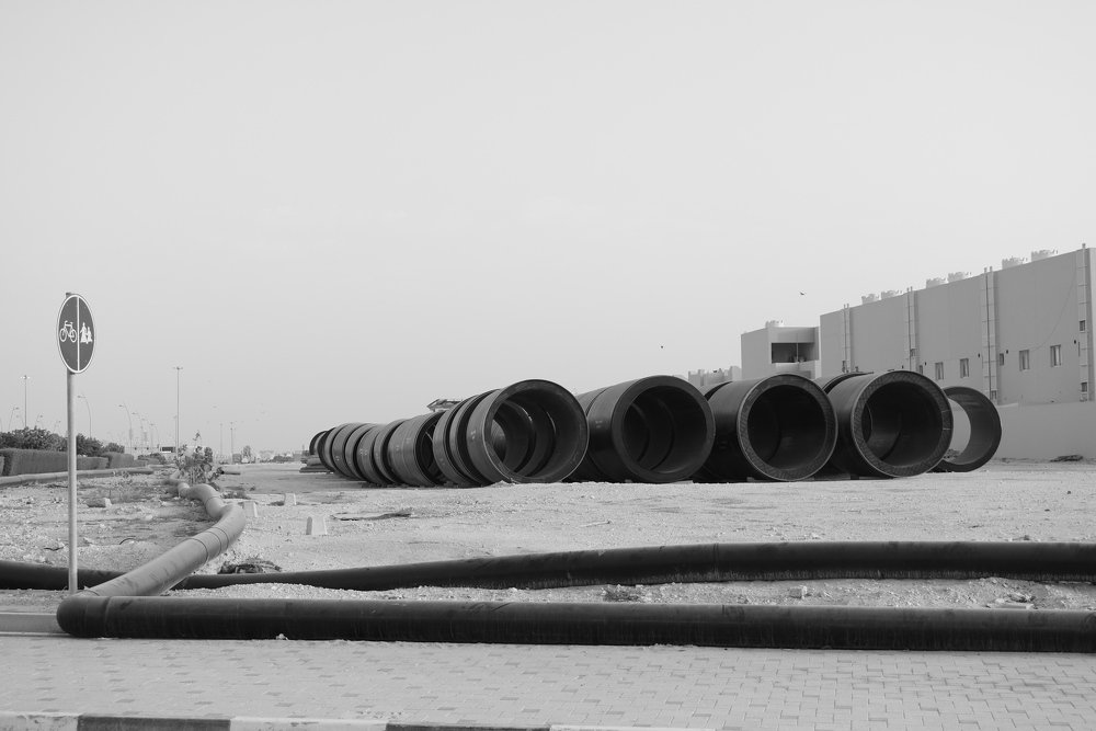 Photograph by Evangeline