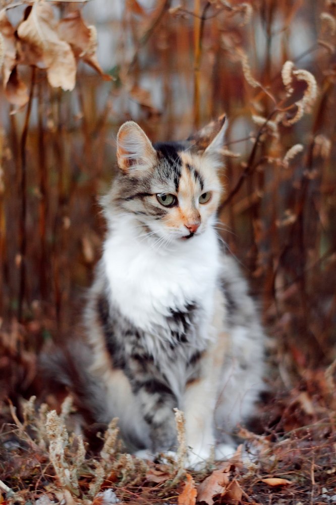 Photograph by Julia Borska