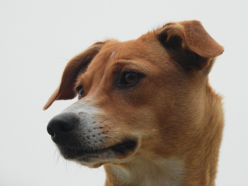 Photograph by Javier Rodriguez Rigual