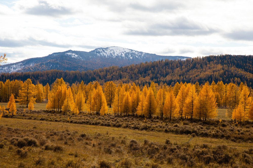 Photograph by Александр Шилов