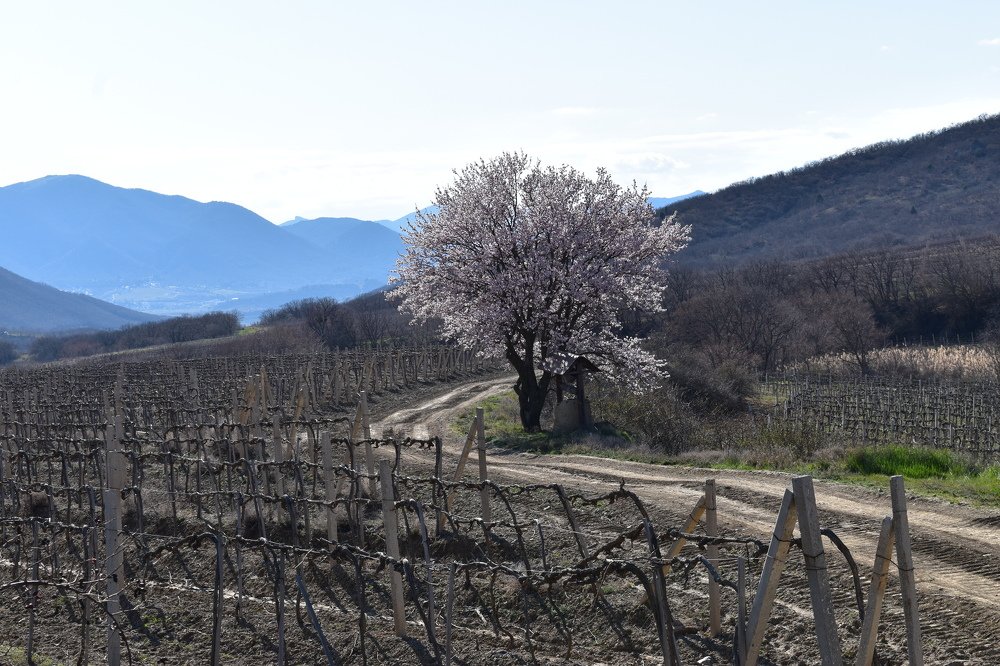 Пробуждение