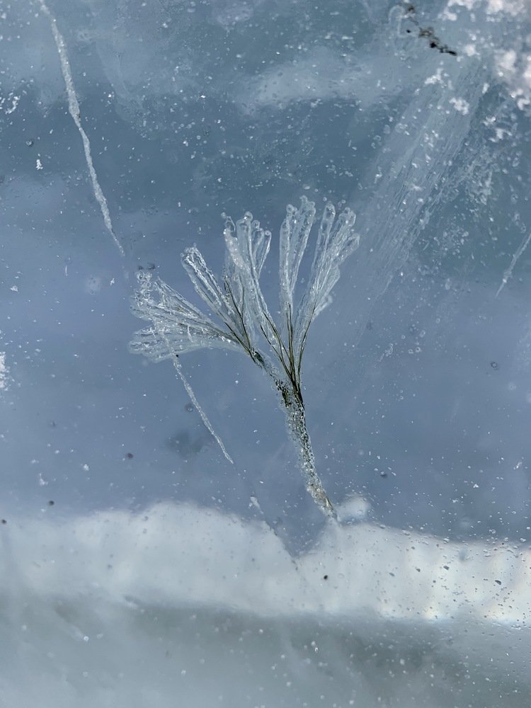 Photograph by Анна Фольмер