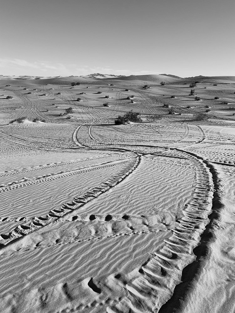 Photograph by Lana Anferow