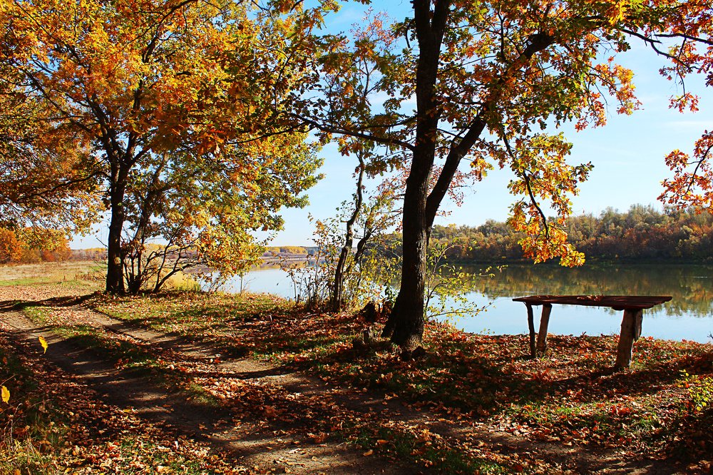 Золотая осень