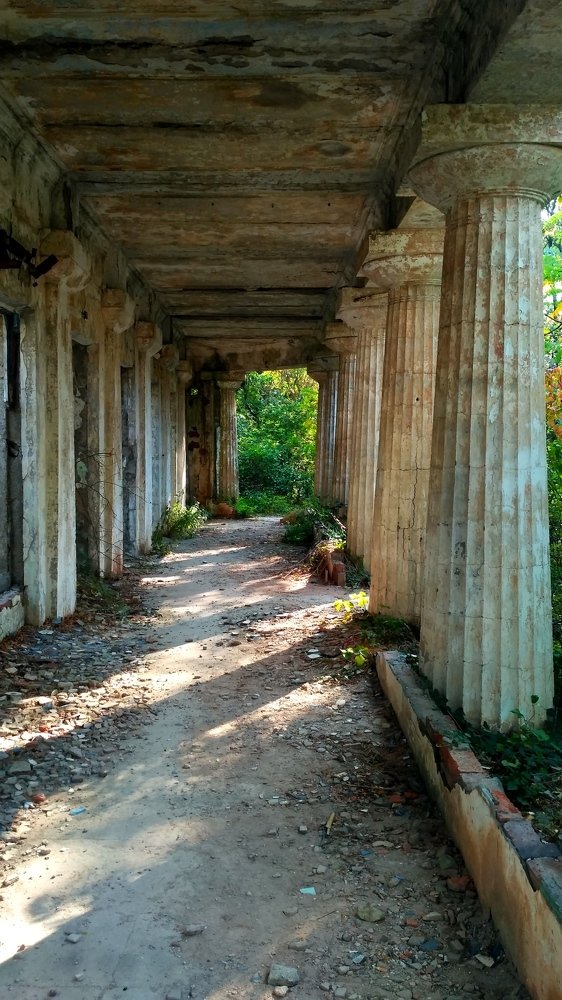 Photograph by Виктория Данилова