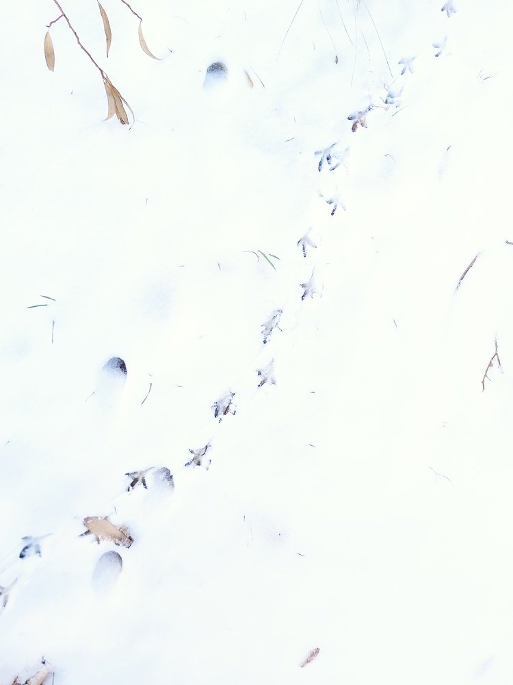 Photograph by Марина Савченко