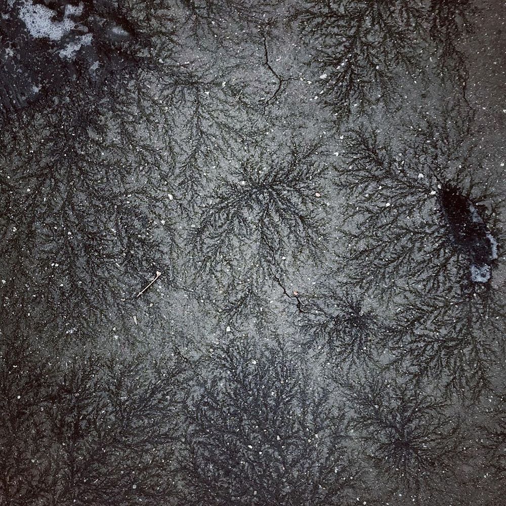 Pattern on the pavement