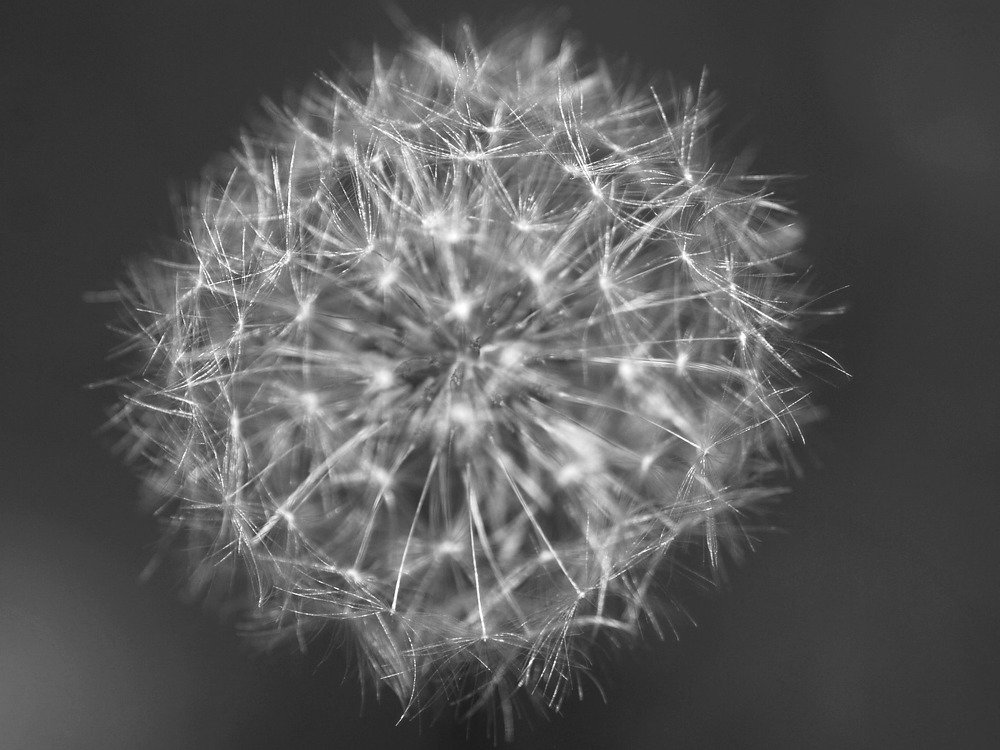 Photograph by Оксана Трофименко