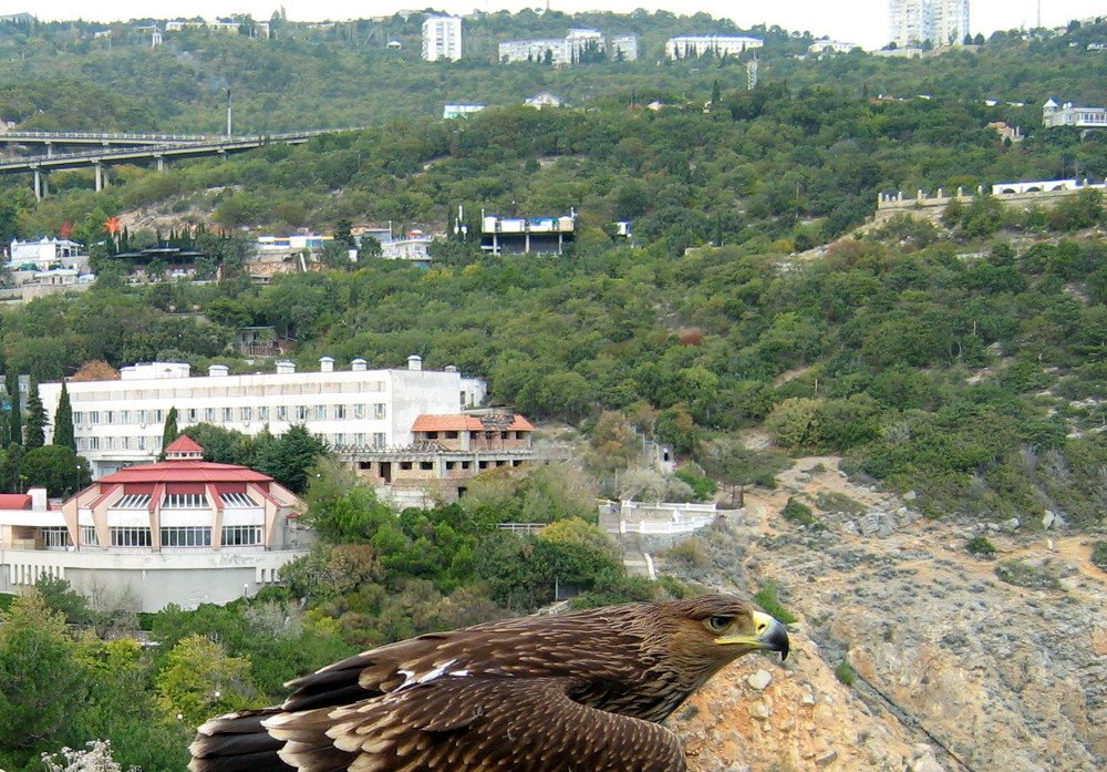 Photograph by Юрий Тихонов