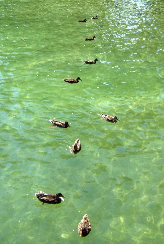 Photograph by Юрий Тихонов