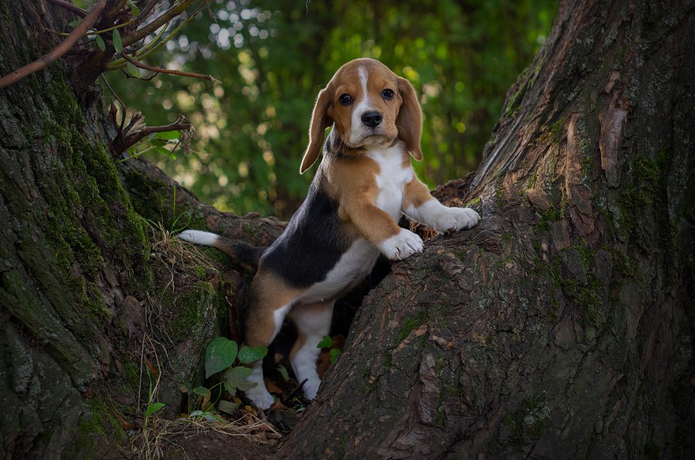 Photograph by Андрей Бурда