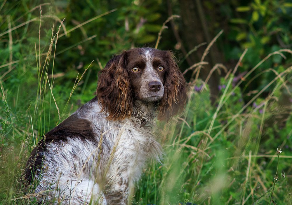 Photograph by Андрей Бурда