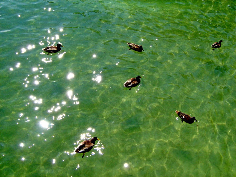 Photograph by Юрий Тихонов