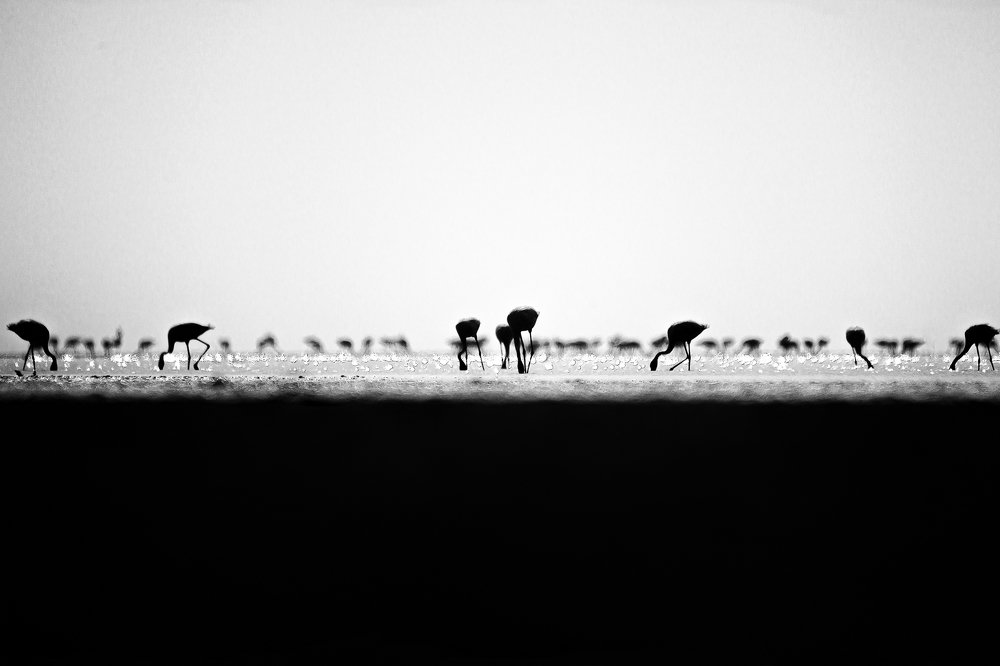 Life of everyone is gray - nor complete white neither black.