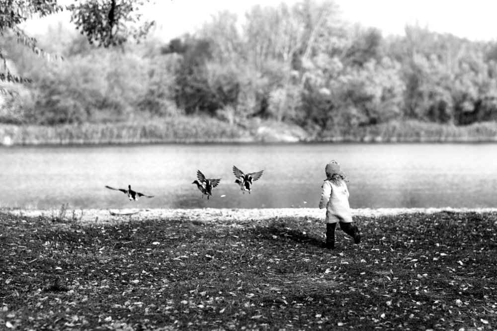 Photograph by Ольга Митяева