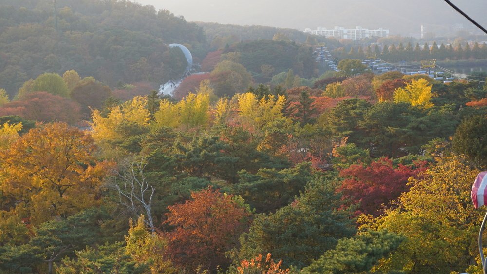 Photograph by Оксана Трофименко