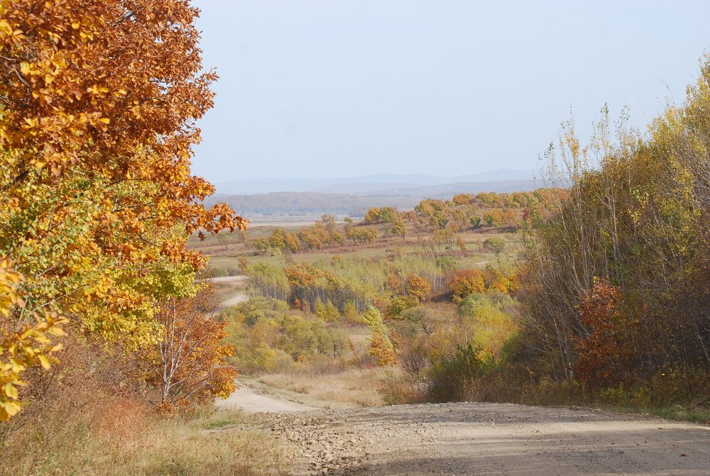 Photograph by Оксана Трофименко