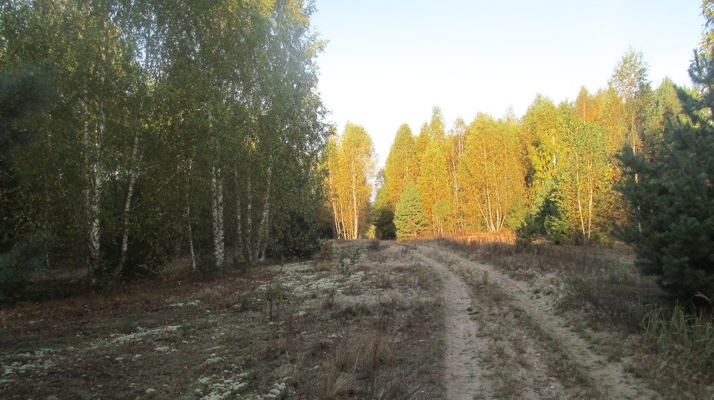 Дорога домой