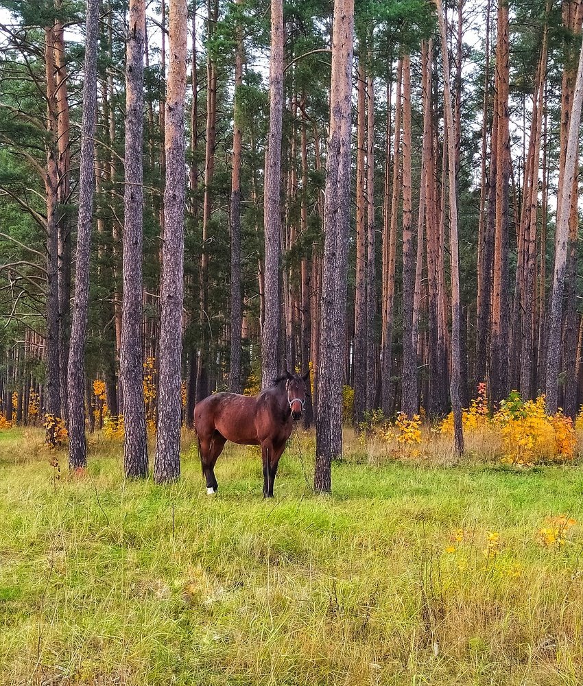 Photograph by Олеся Бронзова