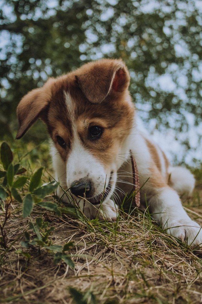 Photograph by Валентина Лугачева
