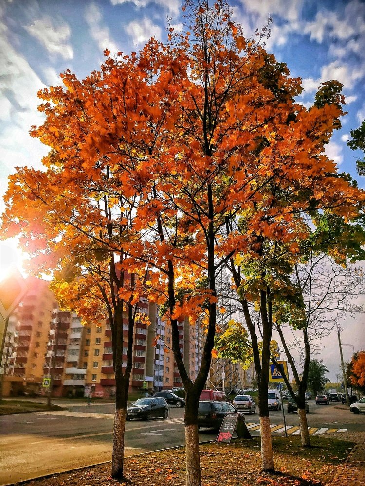 Photograph by Олеся Бронзова