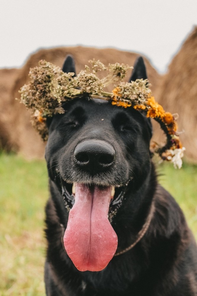 Photograph by Валентина Лугачева