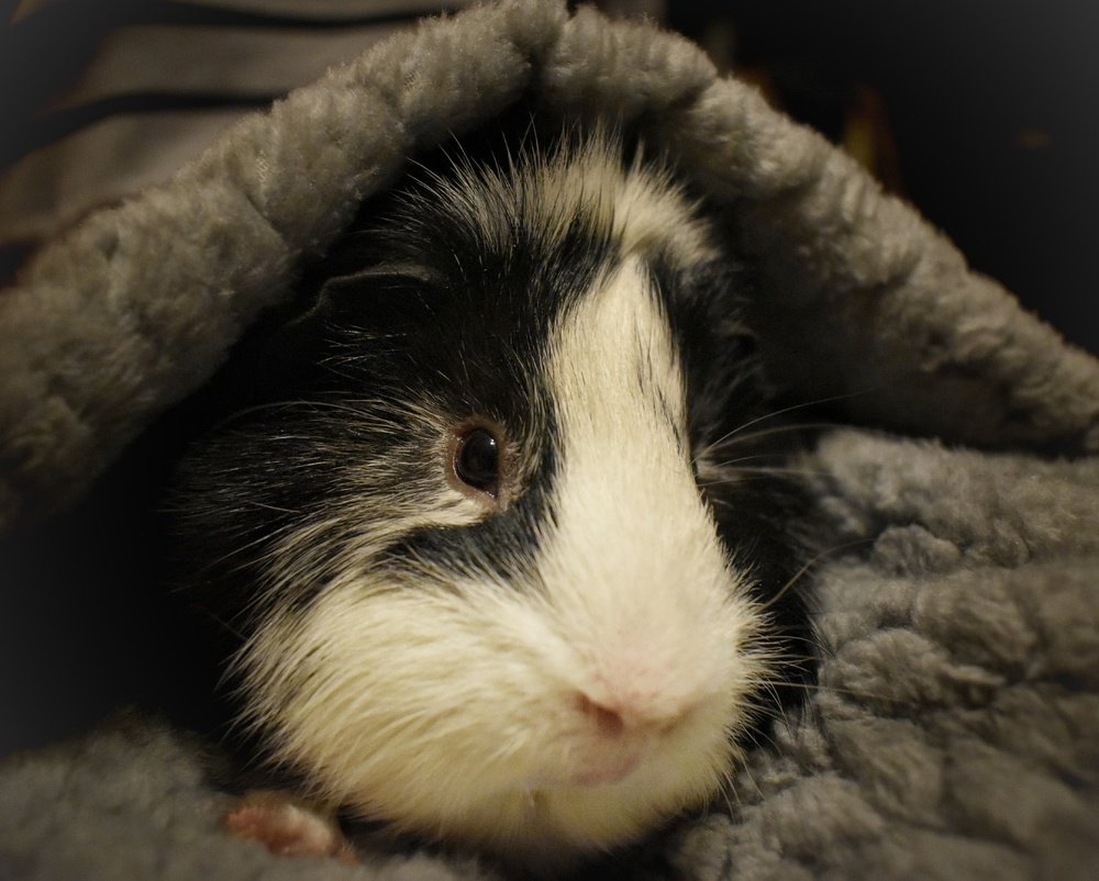 Photograph by Олеся Бронзова