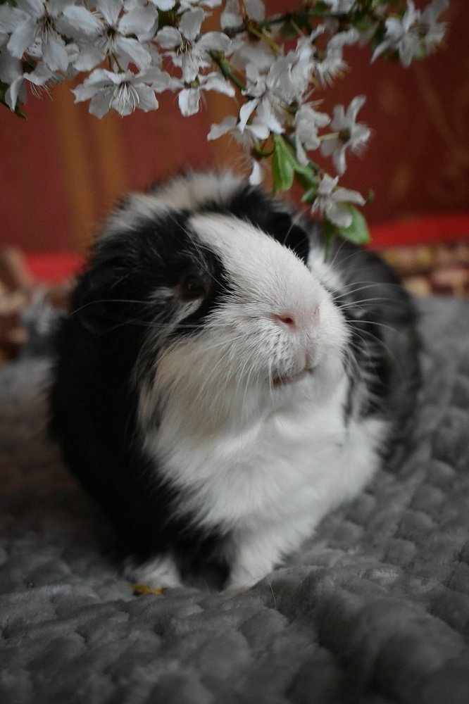 Photograph by Олеся Бронзова