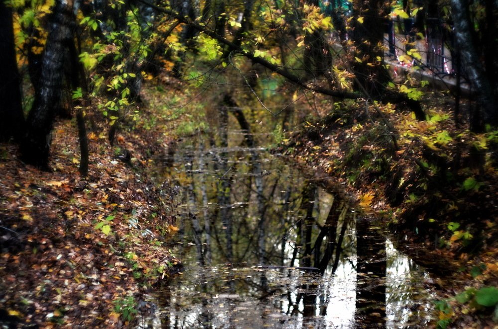 Photograph by Александр Шумаков