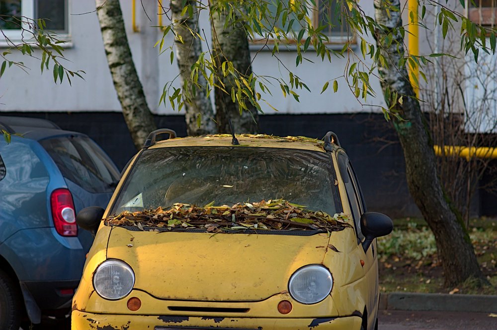 Photograph by Евгений Беленков