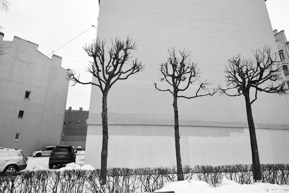 Photograph by Юрий Рефар