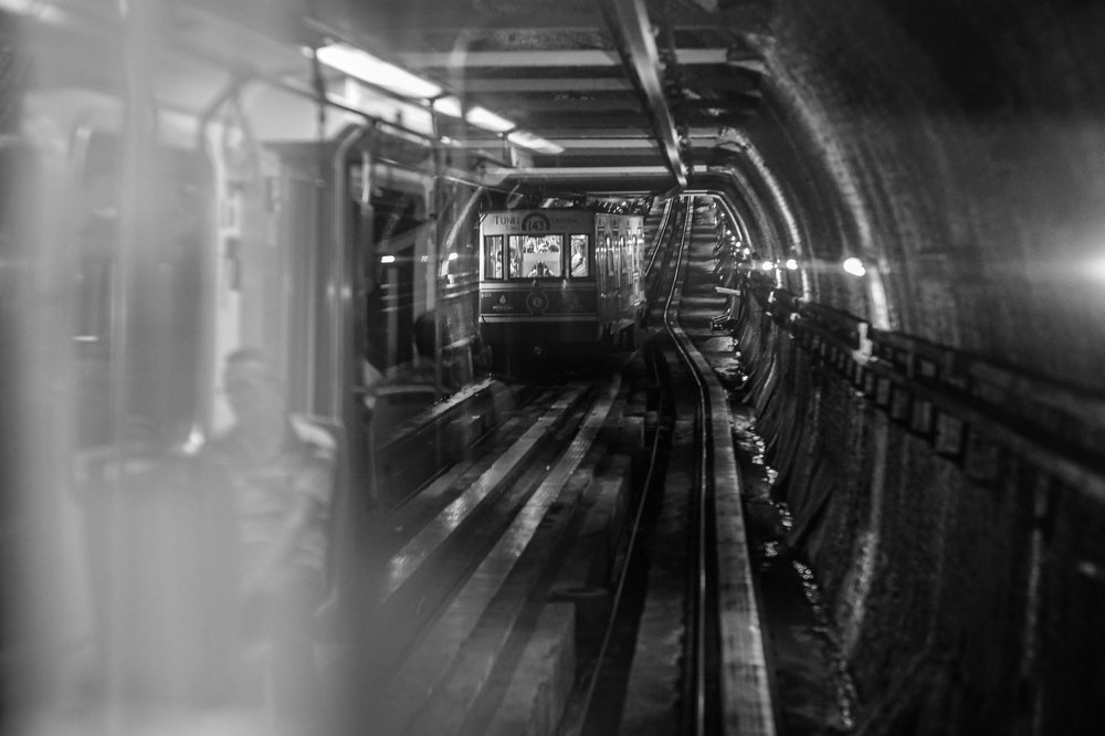 Photograph by Антонина Вишневская