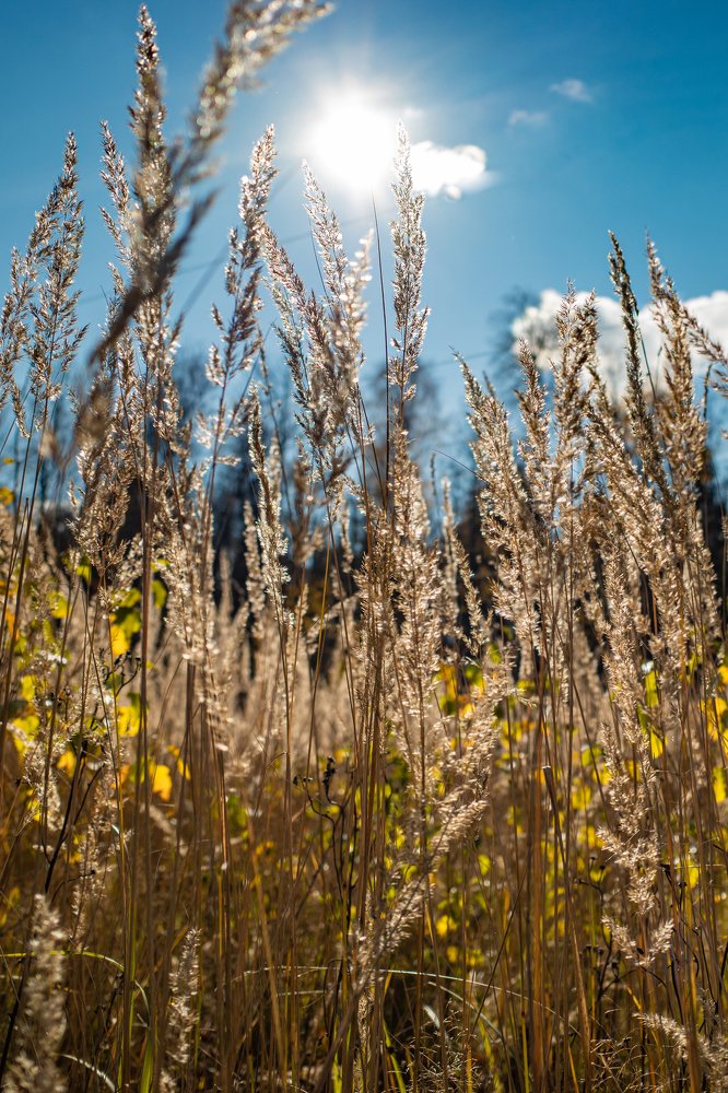 Photograph by Сергей Осинцев