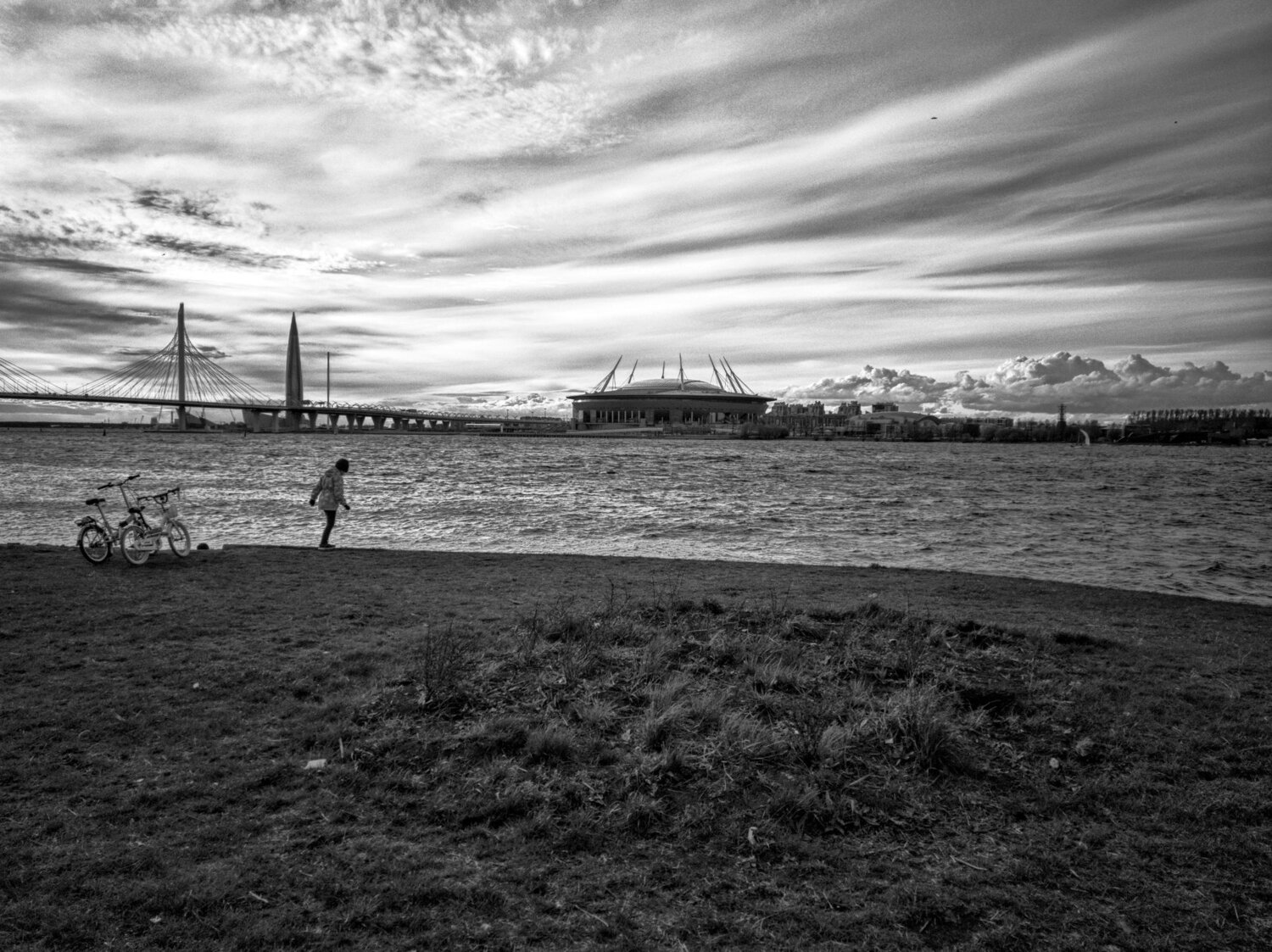 Photo #5148693