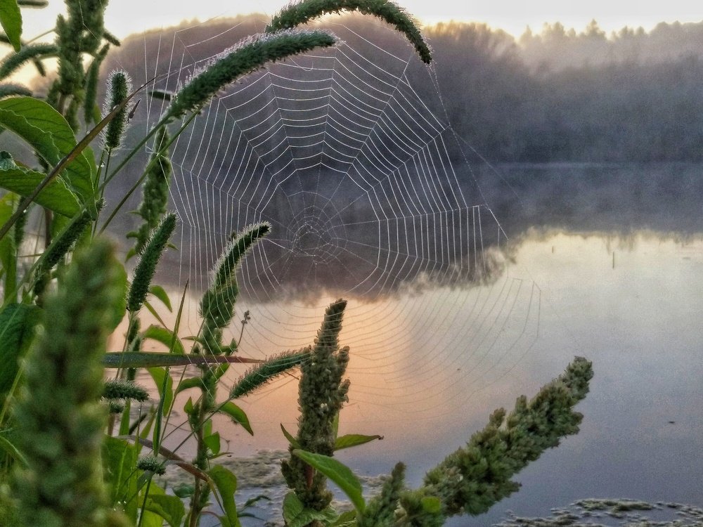 Photograph by Олег Ниделков