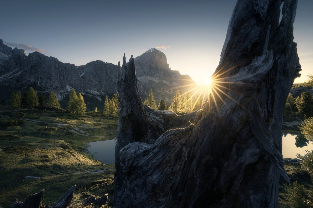 Photograph by Andrea Burla