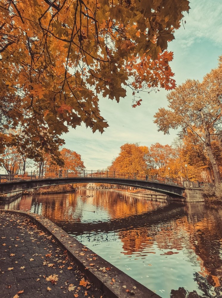 Photograph by Юлия Тарасенко