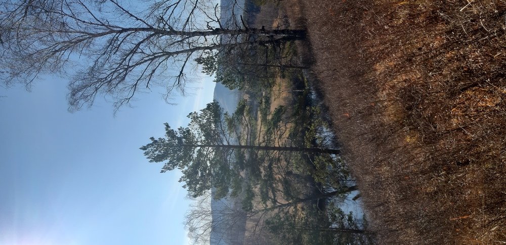 Photograph by Валентина Березина